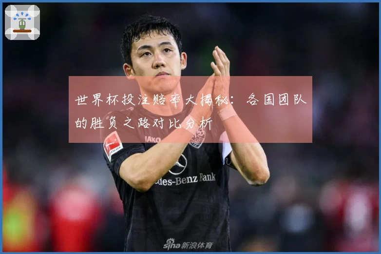 世界杯投注赔率大揭秘：各国团队的胜负之路对比分析