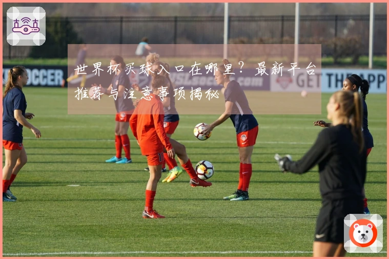 世界杯买球入口在哪里？最新平台推荐与注意事项揭秘
