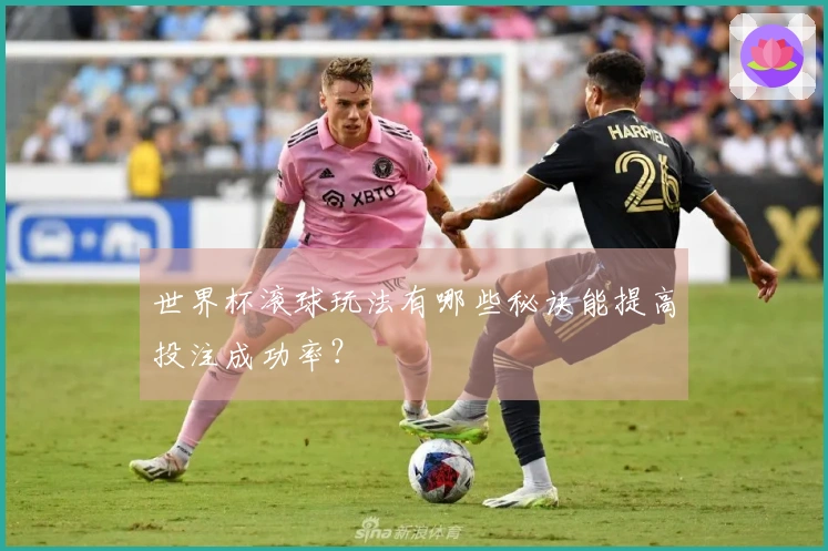 世界杯滚球玩法有哪些秘诀能提高投注成功率？