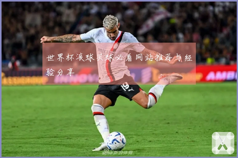 世界杯滚球买球必看网站推荐与经验分享