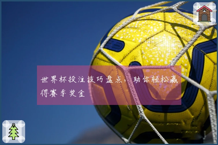 世界杯投注技巧盘点，助你轻松赢得赛季奖金