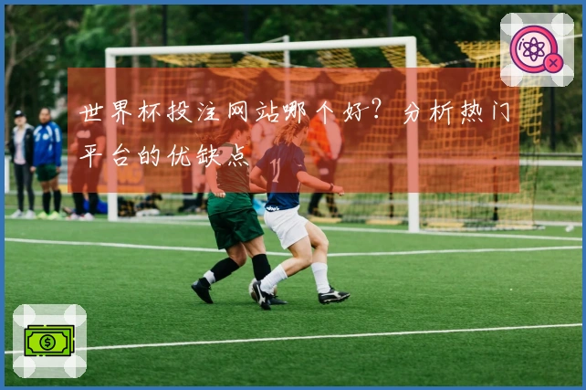 世界杯投注网站哪个好？分析热门平台的优缺点