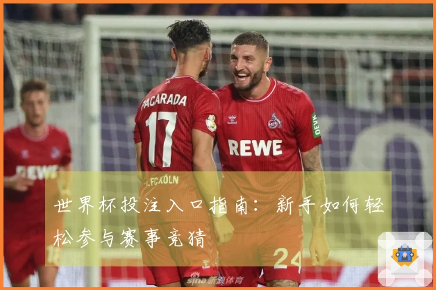 世界杯投注入口指南：新手如何轻松参与赛事竞猜