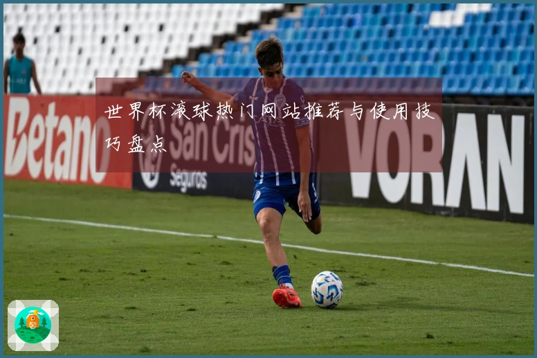 世界杯滚球热门网站推荐与使用技巧盘点