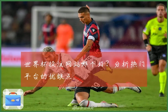 世界杯投注网站哪个好？分析热门平台的优缺点