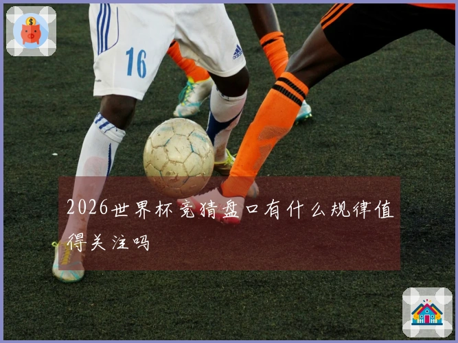 2026世界杯竞猜盘口有什么规律值得关注吗