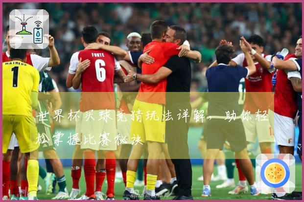 世界杯买球竞猜玩法详解，助你轻松掌握比赛秘诀