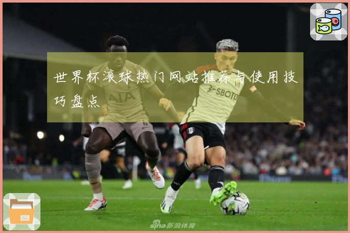 世界杯滚球热门网站推荐与使用技巧盘点
