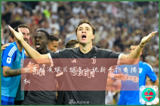 世界杯滚球买球怎么玩新手指南揭秘