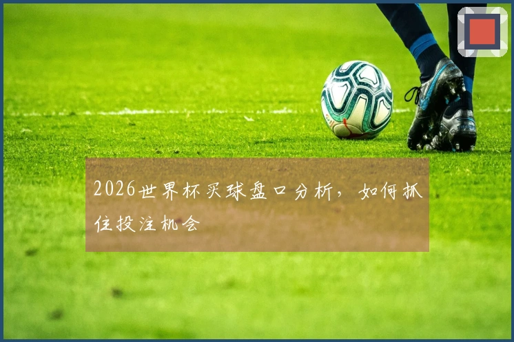 2026世界杯买球盘口分析，如何抓住投注机会