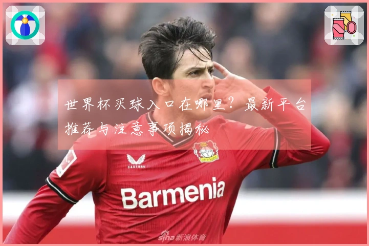 世界杯买球入口在哪里？最新平台推荐与注意事项揭秘