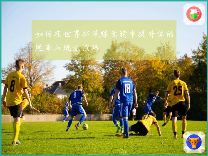 如何在世界杯滚球竞猜中提升你的胜率和玩法技巧