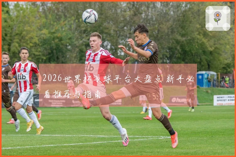 2026世界杯滚球平台大盘点 新手必看推荐与指南