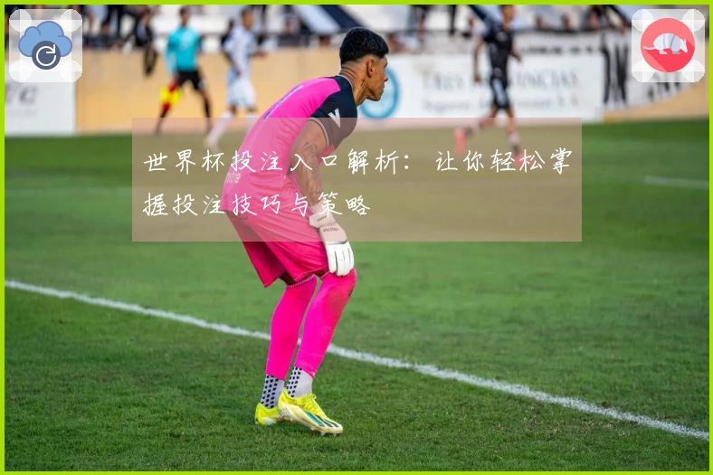 世界杯投注入口解析：让你轻松掌握投注技巧与策略