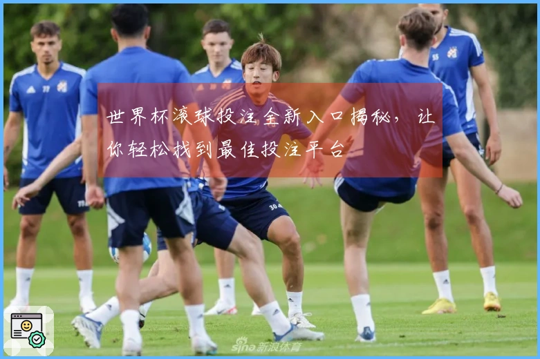 世界杯滚球投注全新入口揭秘，让你轻松找到最佳投注平台