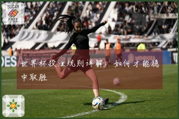世界杯投注规则详解，如何才能稳中取胜