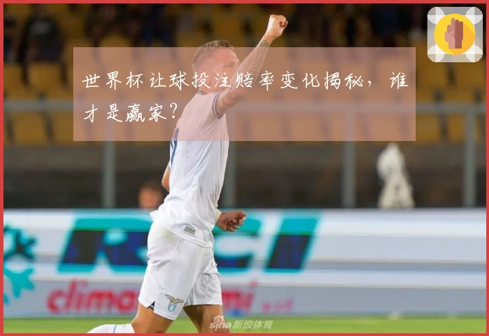 世界杯让球投注赔率变化揭秘，谁才是赢家？