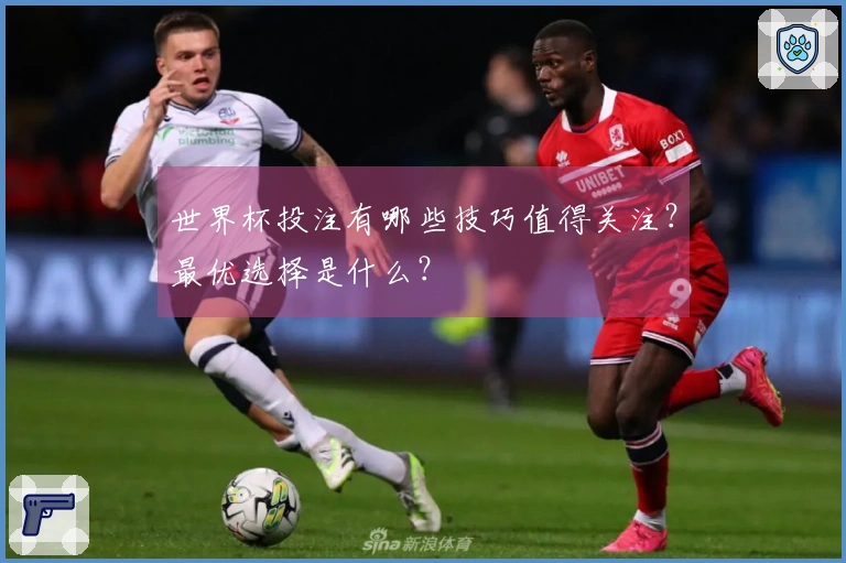 世界杯投注有哪些技巧值得关注？最优选择是什么？